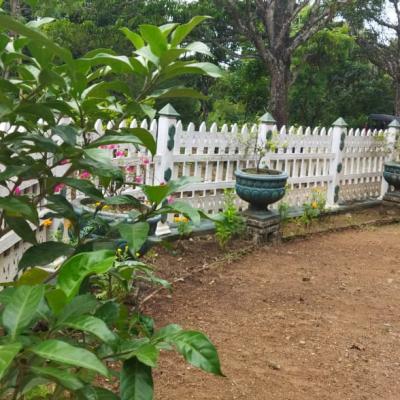 Whatsapp Image 2022 09 06 At 9.08.20 Am 2