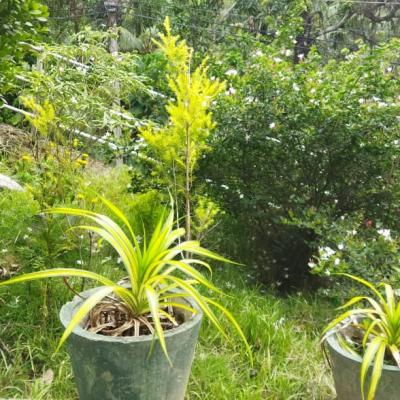 Whatsapp Image 2022 09 06 At 9.08.24 Am