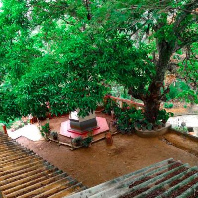 Whatsapp Image 2022 09 06 At 9.12.56 Am 1