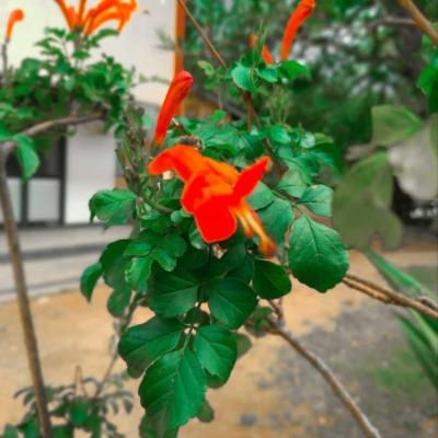 Whatsapp Image 2022 09 06 At 9.13.00 Am 2